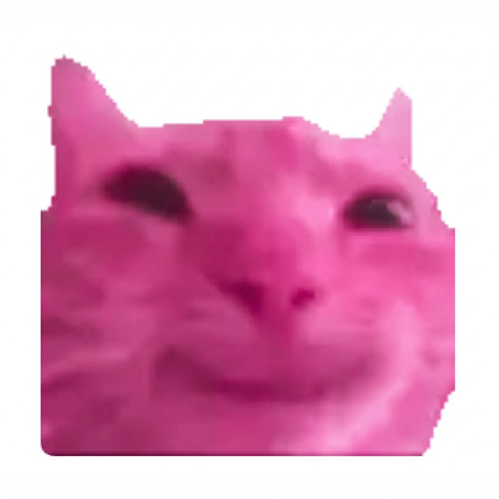 PinkCatAI | AI Product Photos & Viral Videos from Phone Images